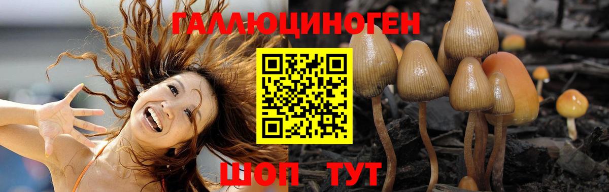 Псилоцибиновые грибы мицелий  Вход с VPN  Корсаков 